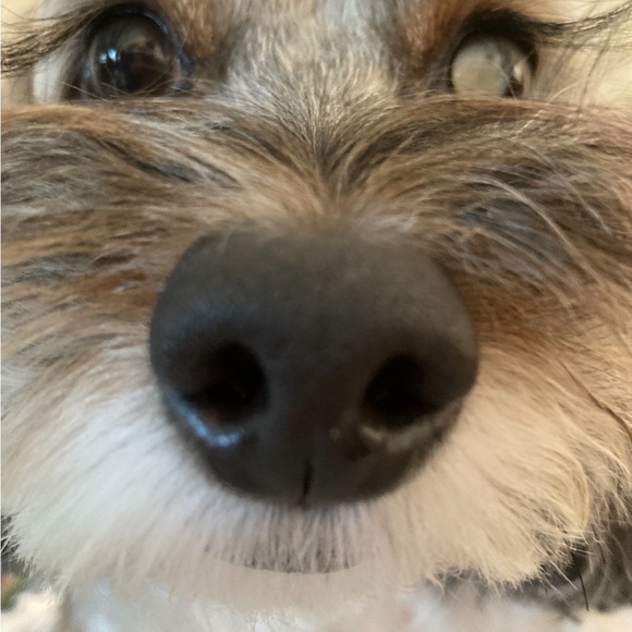 Meet your Posher, Kim - Picture 3 of 16